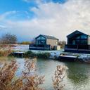 businessProfileImage