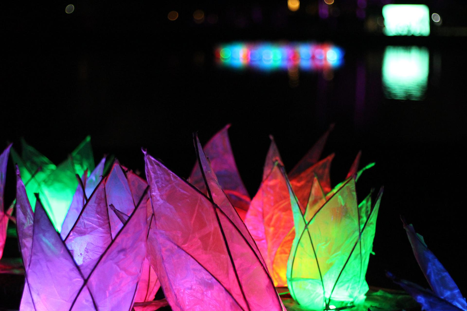 New for 2023: Boultham Park to launch first Lincoln Earth Hour lantern event 