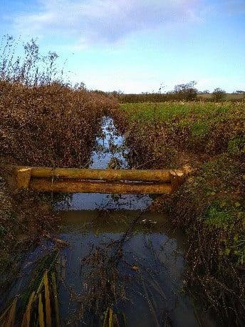 Last year we installed natural flood management interventions on the River Waring.
The interventions hold water in the upper catchment and reduce levels of sediment from adjacent agricultural land.
It also encourages natural river processes to improve habitat.
#Lincolnshire 