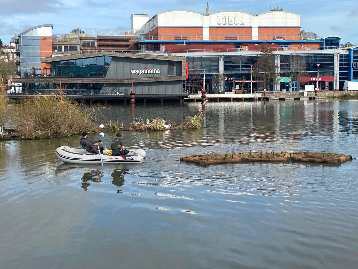We recently helped @EastMerciaRT install floating ecosystems at Brayford Pool. 
The ecosystems help provide habitats for wildlife. 
In the coming months we will be conducting surveys to record fish numbers to see how effective the floating ecosystems are. 
Lincoln wildlife