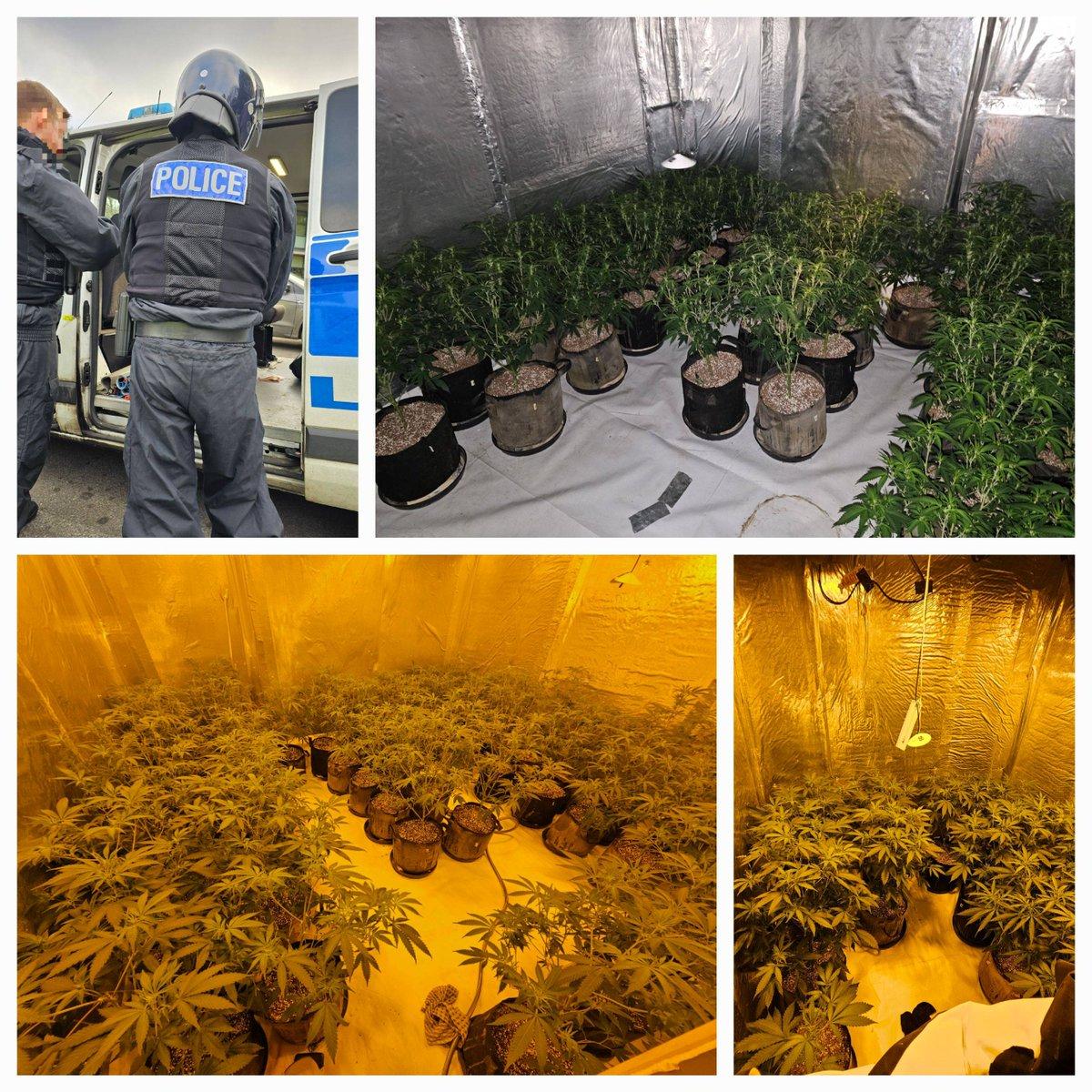 A misuse of drugs warrant was carried out on an address in Fox Street yesterday morning after concerns were raised by the local community.  One person was arrested at the scene. Over 100 plants have been seized. #yousaidwedid #town 