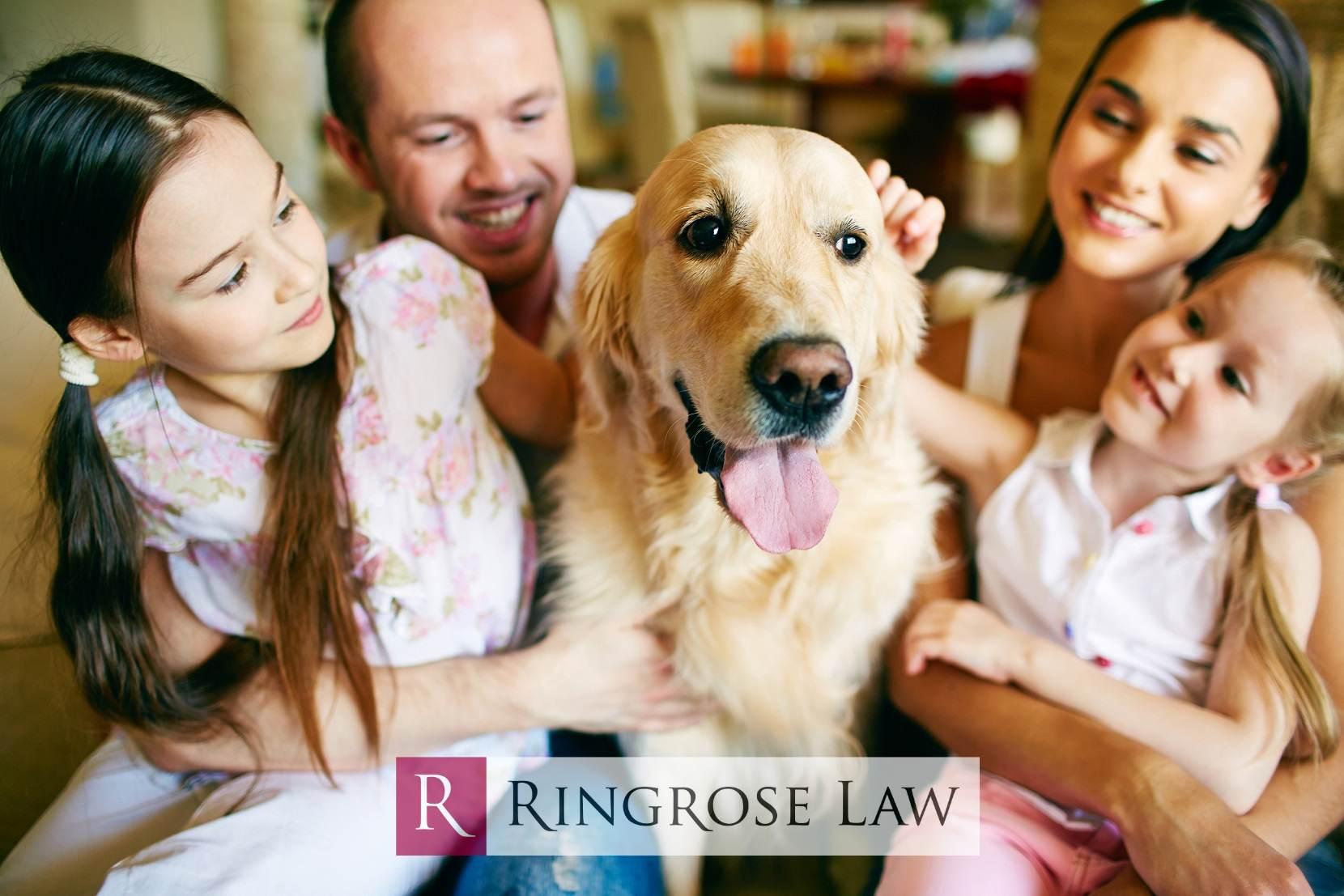 For all your personal legal needs, trust Ringrose Law