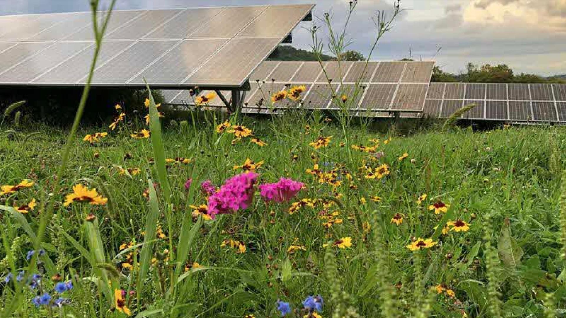New 50MW solar farm proposed near Sleaford